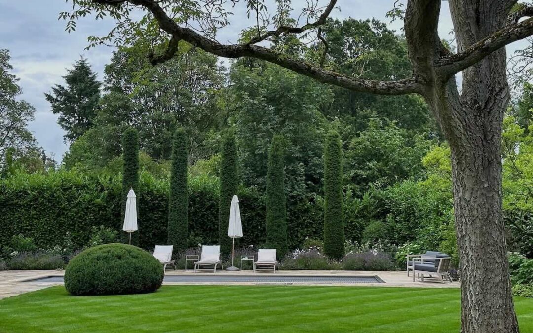 The Summer Garden